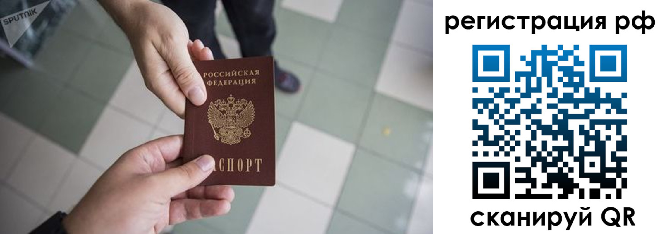 прописка гарантия в Каргате